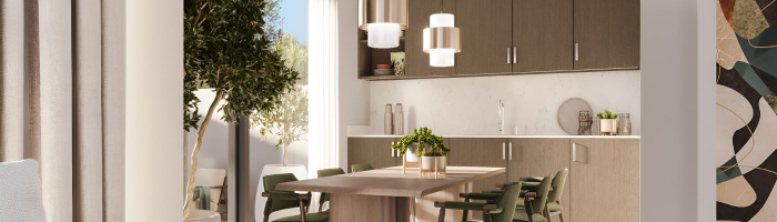 emaar_the_valley_elora_townhouses_2 (2)